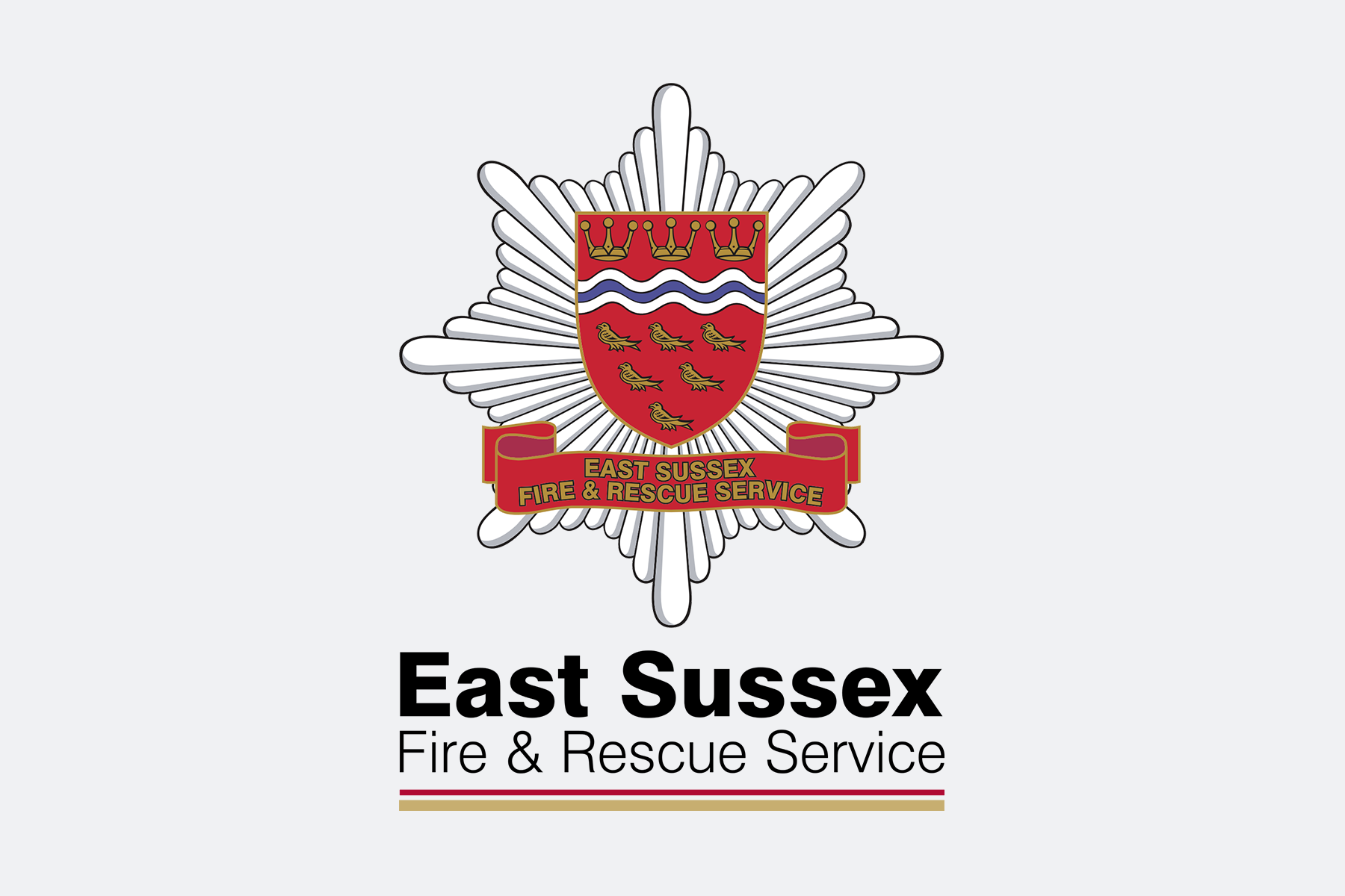 6x4 grey East Sussex FRS